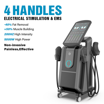 Ce / Fda Grande Ecrã Profissional Ems Estimulador Muscular Bonitão Aumentar Construção Pelvic Floor Machine Treinamento